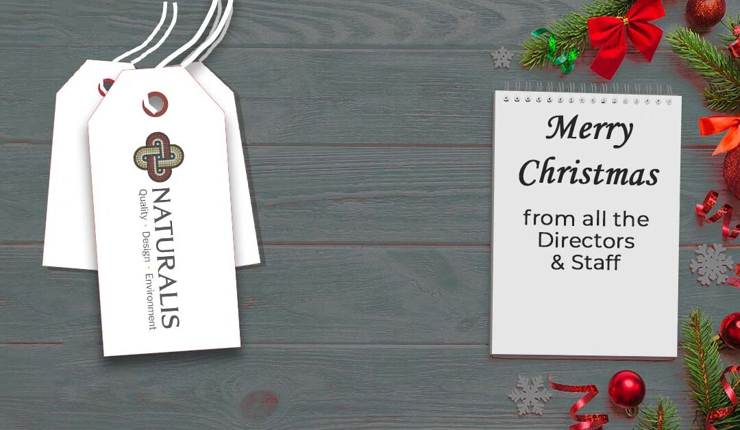 Christmas Wishes