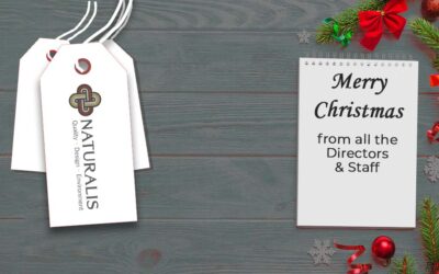 Christmas Wishes